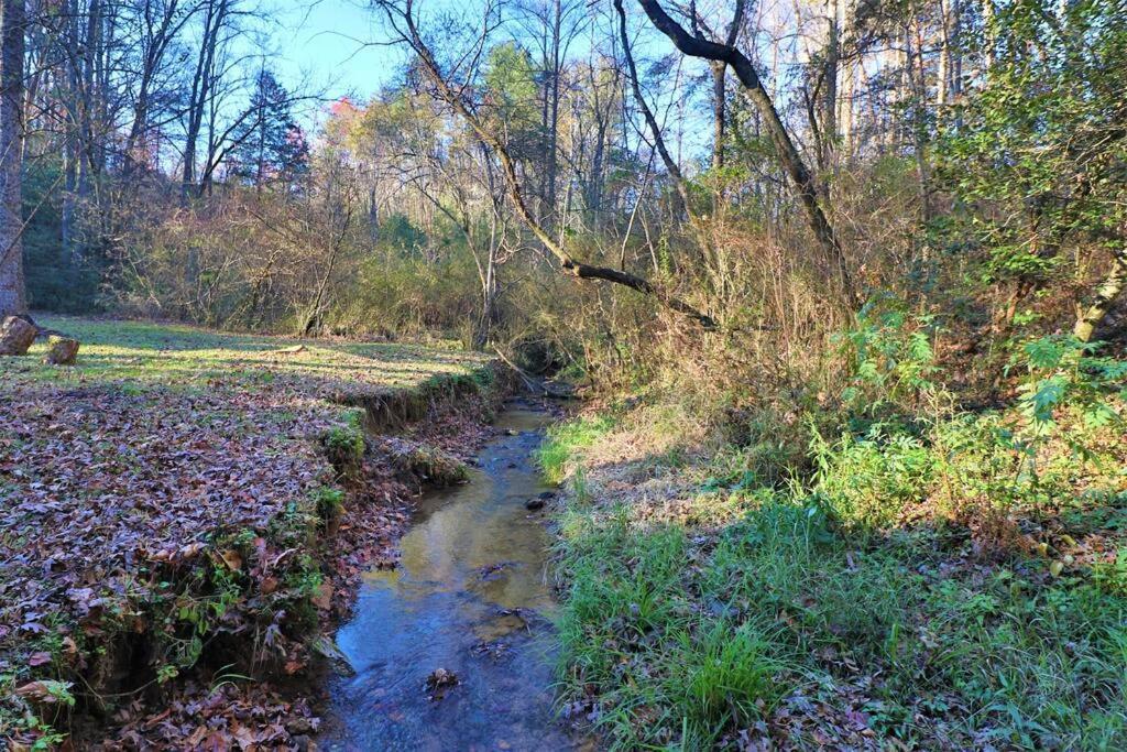 Amazing Cabin Fireplace And Stream #11 เฮเลน ภายนอก รูปภาพ